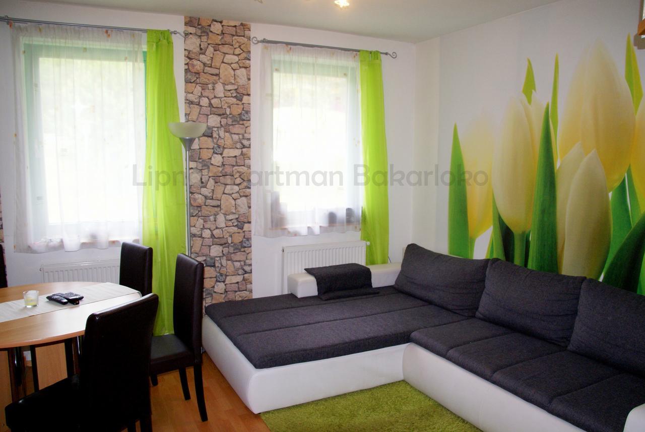 Bakarloko Lipno Apartments ليبنو ناد فلتافو المظهر الخارجي الصورة